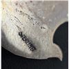 Image 3 : Sterling Silver Howling Wolf Earrings