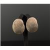 Image 1 : Sterling Silver Nautilus Shell Earrings