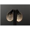Image 2 : Sterling Silver Nautilus Shell Earrings