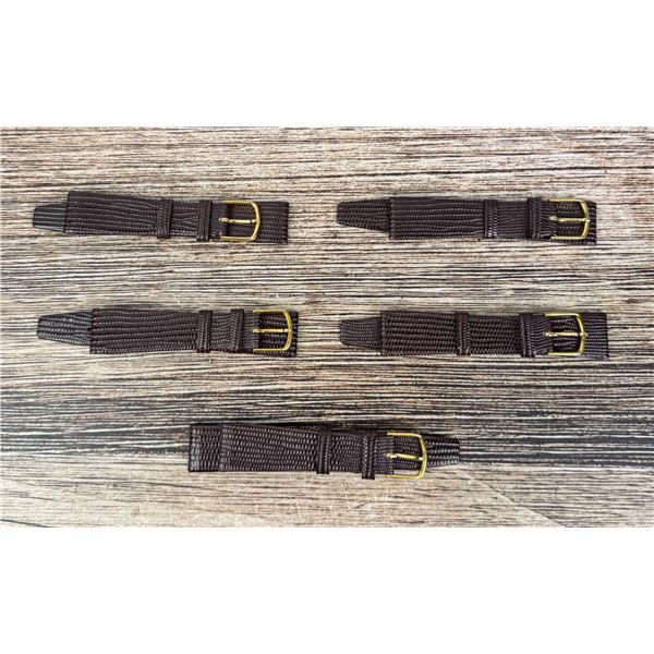 Collection of Lizard Skin Watch Bands Straps