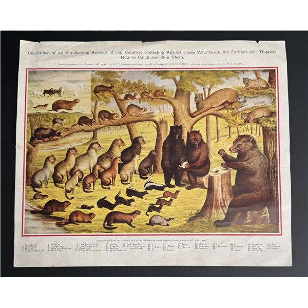 Fur Bearing Animals Convention Trapping Lithograph