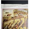 Image 4 : Fur Bearing Animals Convention Trapping Lithograph