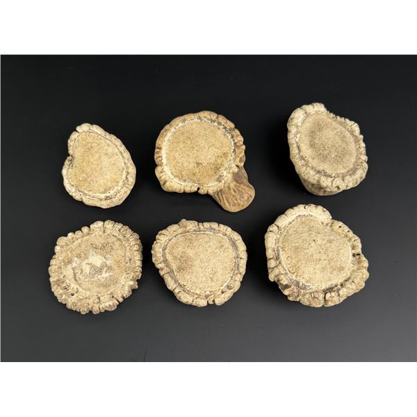 Elk Antler Rosettes