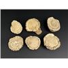 Image 1 : Elk Antler Rosettes