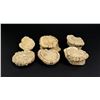 Image 2 : Elk Antler Rosettes