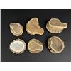 Image 3 : Elk Antler Rosettes