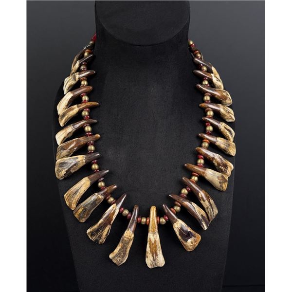 Plains Indian Buffalo Tooth Necklace