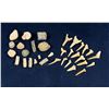Image 4 : Collection of Fossils and Shark Teeth