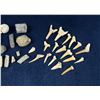 Image 6 : Collection of Fossils and Shark Teeth