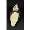 Image 3 : Antique Bufflehead Wood Duck Decoy