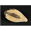 Image 4 : Antique Bufflehead Wood Duck Decoy