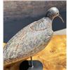 Image 11 : Nantucket Eskimo Curlew Shorebird Hunting Decoy