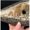 Image 17 : Nantucket Eskimo Curlew Shorebird Hunting Decoy