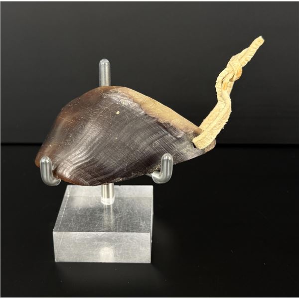 Gros Ventre Native American Indian Horn Spoon