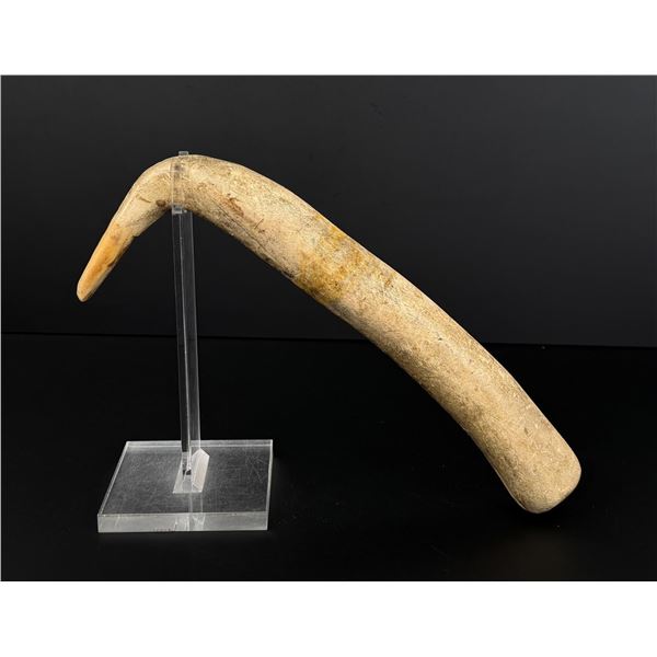 Montana Crow Indian Elk Horn Hide Scraper