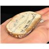 Image 3 : Alaskan Inuit Eskimo Scrimshaw Ivory Panel