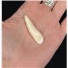 Image 1 : Alaskan Inuit Eskimo Carved Ivory Pendant