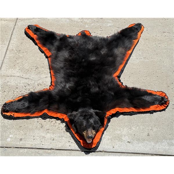 Montana Taxidermy Black Bear Rug