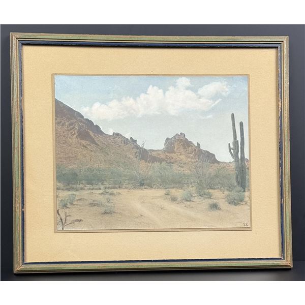 Sonoran Desert Landscape Hand Tinted Photo