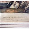 Image 3 : McKenney & Hall Prairie on Fire Lithograph