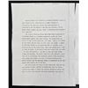 Image 10 : Mark Daily Virgin Forest Painting