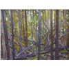 Image 2 : Mark Daily Virgin Forest Painting