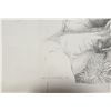 Image 2 : Jean Day Zallinger Dinosaur Drawing