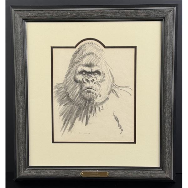 Sheridan Oman Gorilla Drawing