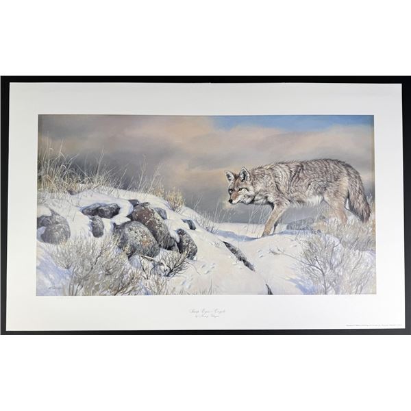 Nancy Glazier Sharp Eyes Coyote Print
