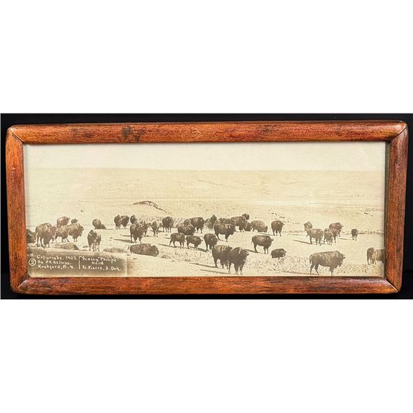 P.H. Kellogg Fort Pierre Dakota Buffalo Photo