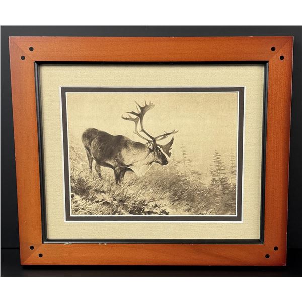 Caribou Print