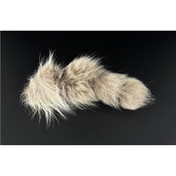Taxidermy Coyote Tail