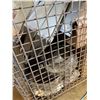 Image 4 : Metal Mesh Bin & Contents: Ventilation Components, Wall Caps, Backdraft Damper, HVAC Ducting & Fitti