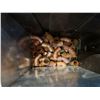 Image 9 : Qty 3 Bins Misc Pipe Fittings, Moen Tub & Shower Trim Kit, etc Misc Sizes