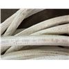 Image 5 : Coil Mueller Copper Refrigerant Pipe
