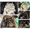 Image 1 : Multiple Bins Pipe Fittings, Couplings, Caps, etc Misc Sizes