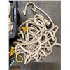 Image 3 : Multiple Ropes, Vertical Lifeline w/ Carabiner Hook, etc
