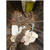 Image 6 : Coffing & Magna Manual Chain Hoists, Anchor, Chain, etc