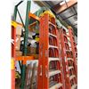 Image 2 : Qty 2 Werner NXT1A10 Ladders