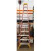 Image 1 : Werner NXT1A12 Ladder