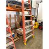 Image 3 : Werner NXT1A12 Ladder
