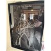 Image 8 : Elvis Presley Memorabilia Collection
