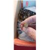 Image 3 : LARGE AMOUNT OF 5.56 /223   BRASS
