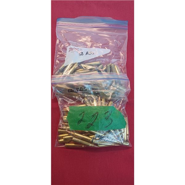 100 ROUNDS OF 223 REM AMMO (2 BAGS OF 50) NO SHIPPING PAL REQD