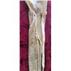 Image 11 : BEADED DEER RIFLE BAG - 46" LONG