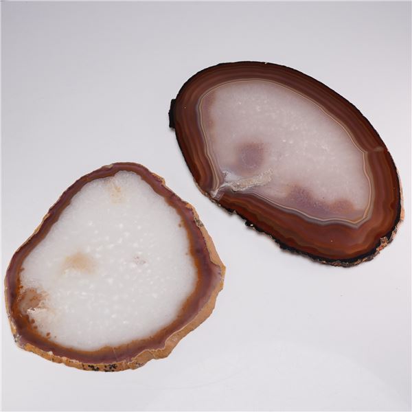 2pc Polished Agate Geode Slices with Druzy Quartz Centers