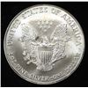 Image 2 : 1999 AMERICAN SILVER EAGLE COLORIZED