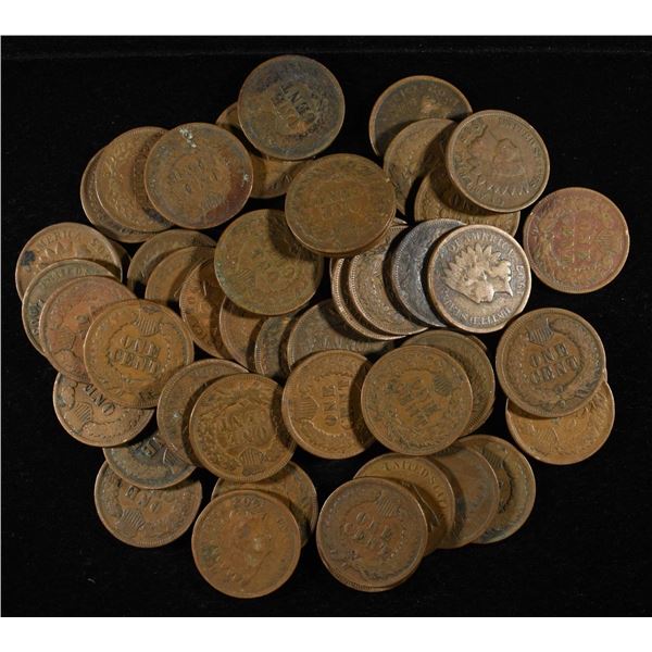 (50) INDIAN HEAD CENTS