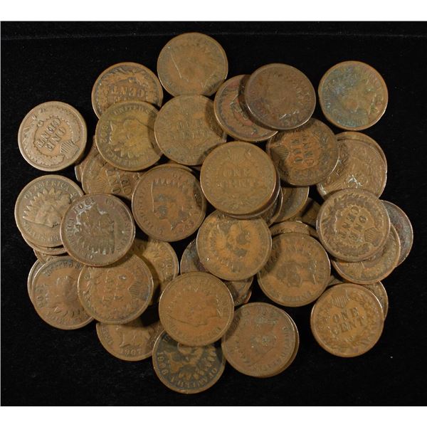 (48) INDIAN HEAD CENTS