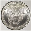 Image 3 : 1991 AMERICAN SILVER EAGLE NGC MS69